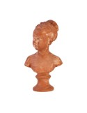 Girl Bust With Terracotta Base